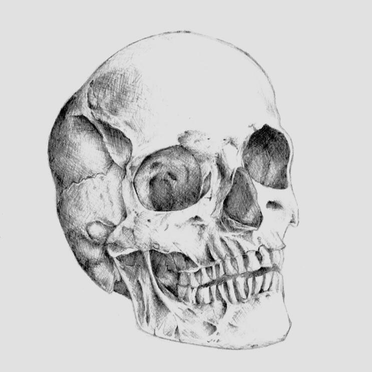 skull